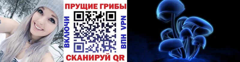 Псилоцибиновые грибы Cubensis Переславль-Залесский